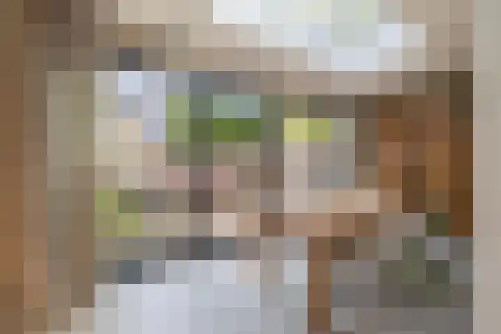 Jasmijnhof 20 Waalwijk thumbnail 17