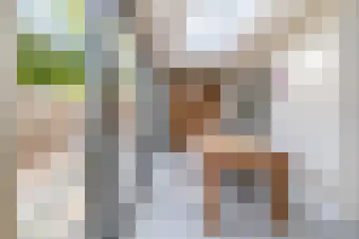 Jasmijnhof 20 Waalwijk thumbnail 18