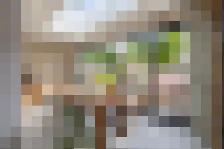 Jasmijnhof 20 Waalwijk thumbnail 20