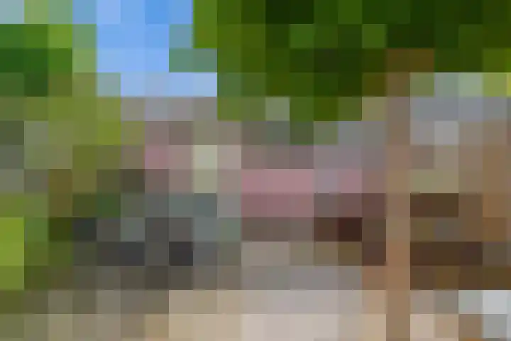 Jasmijnhof 20 Waalwijk thumbnail 21