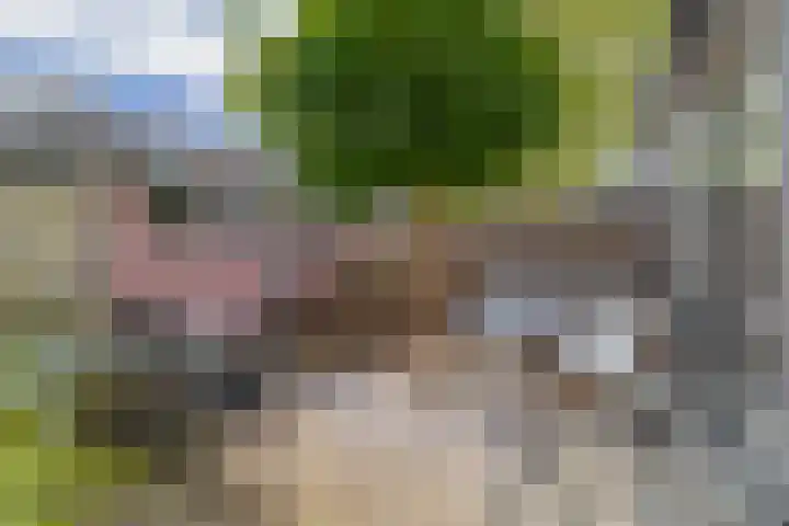 Jasmijnhof 20 Waalwijk thumbnail 22