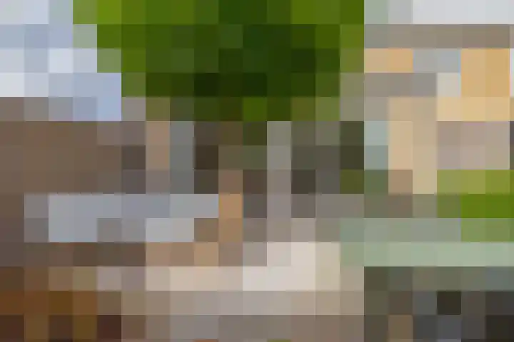 Jasmijnhof 20 Waalwijk thumbnail 23
