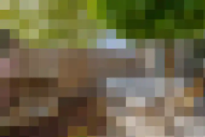 Jasmijnhof 20 Waalwijk thumbnail 24