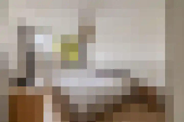 Jasmijnhof 20 Waalwijk thumbnail 25