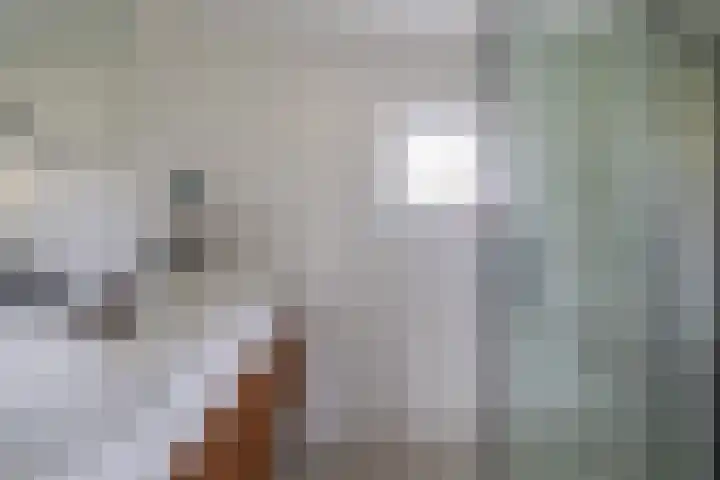 Jasmijnhof 20 Waalwijk thumbnail 28