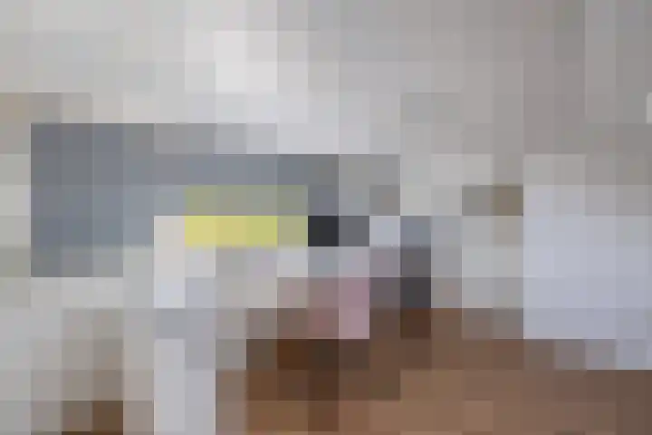 Jasmijnhof 20 Waalwijk thumbnail 35