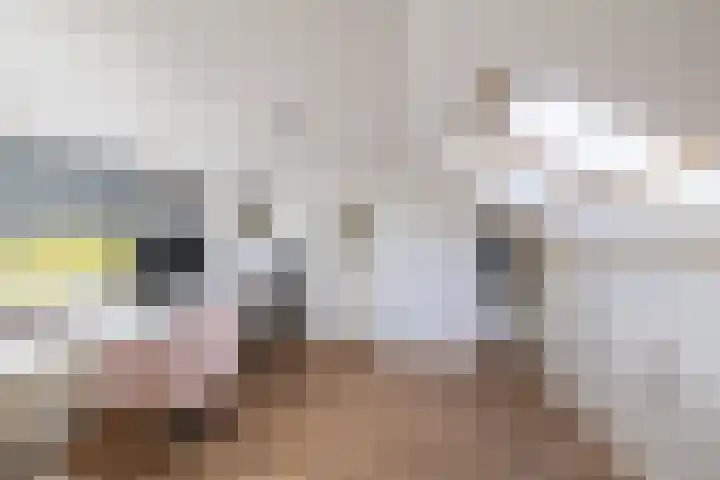 Jasmijnhof 20 Waalwijk thumbnail 37