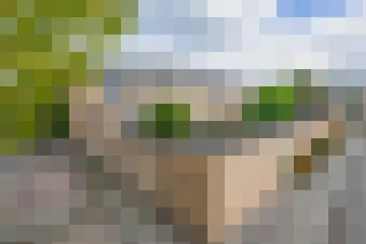 Jasmijnhof 20 Waalwijk thumbnail 38