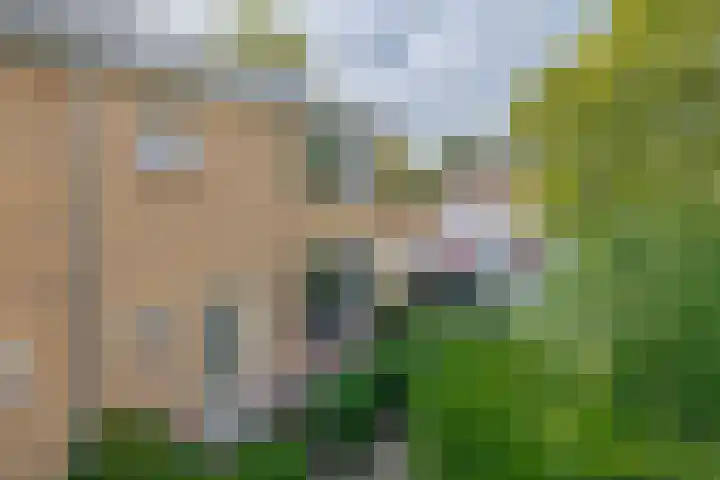 Jasmijnhof 20 Waalwijk thumbnail 40
