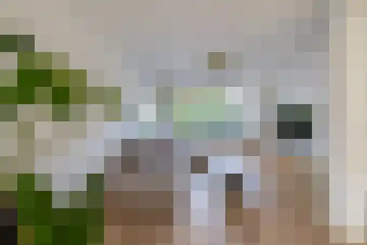 Jasmijnhof 20 Waalwijk thumbnail 6