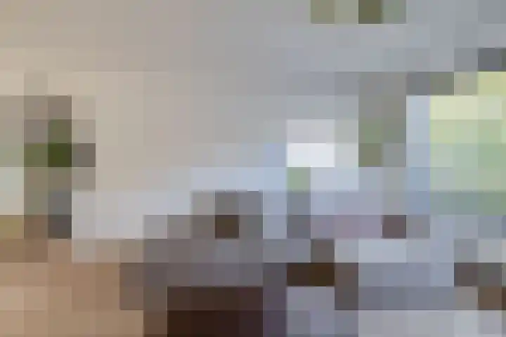 Jasmijnhof 20 Waalwijk thumbnail 7