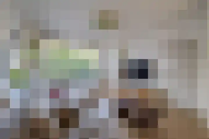Jasmijnhof 20 Waalwijk thumbnail 8