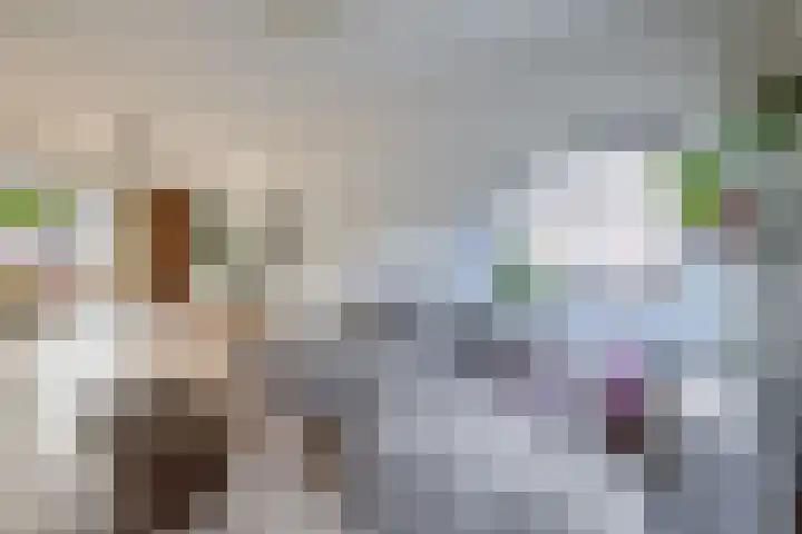 Jasmijnhof 20 Waalwijk thumbnail 9