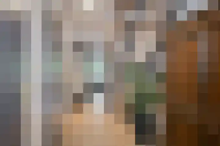 Jasmijnlaan 103 Winterswijk thumbnail 36