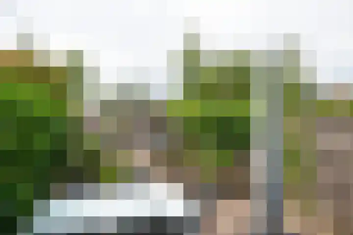 Jasmijnlaan 103 Winterswijk thumbnail 49