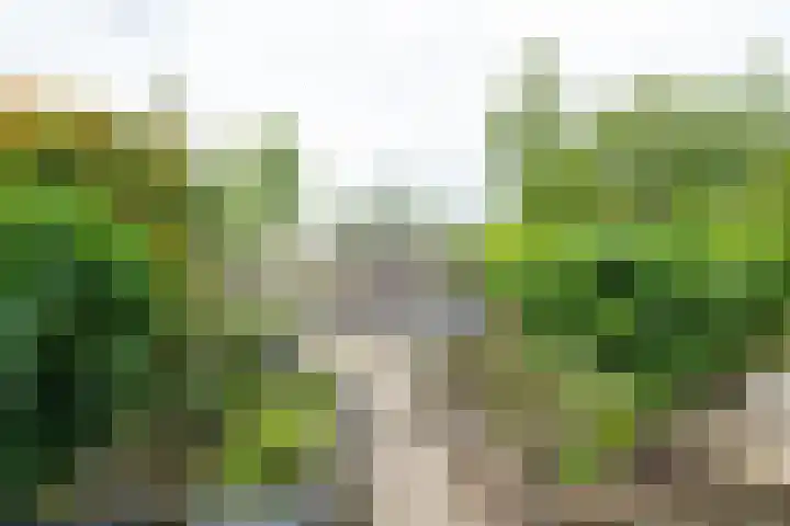 Jasmijnlaan 103 Winterswijk thumbnail 51