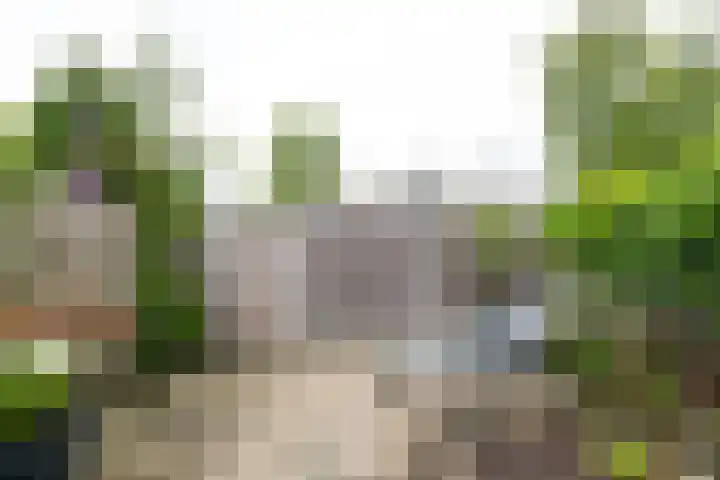 Jasmijnlaan 103 Winterswijk thumbnail 52