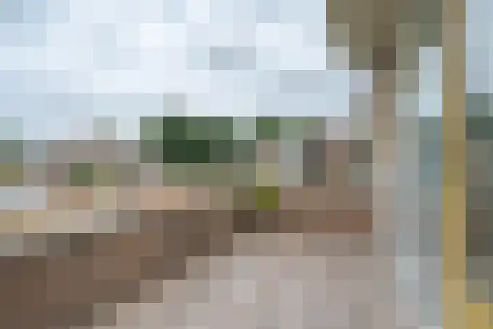 Jasmijnlaan 12 Roden thumbnail 20