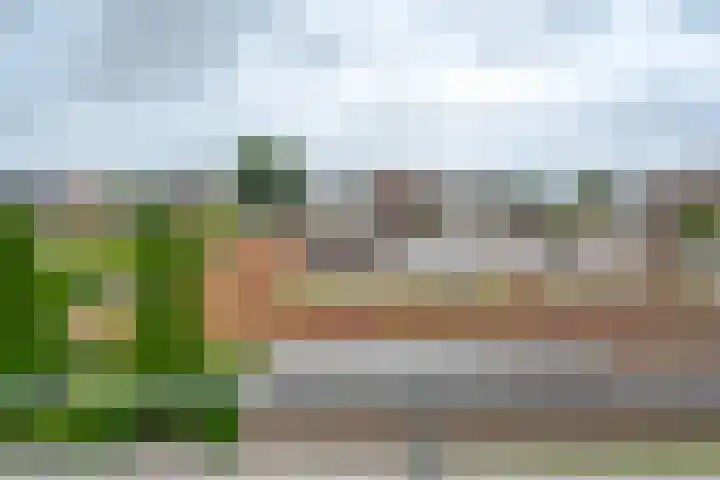 Jasmijnlaan 12 Roden thumbnail 21