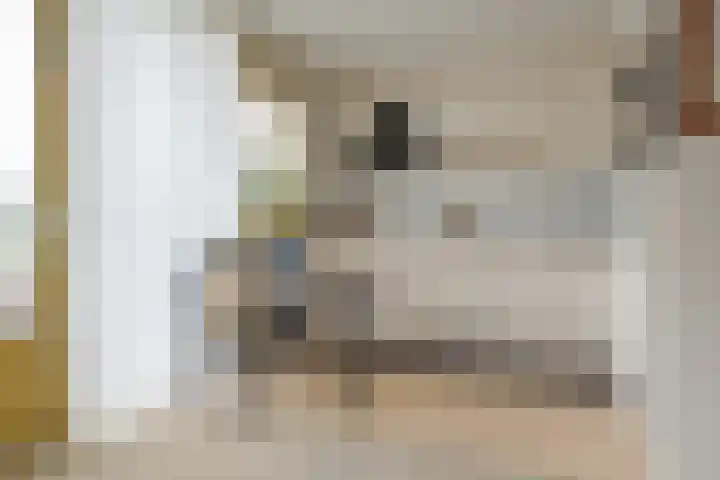Jasmijnlaan 12 Roden thumbnail 22