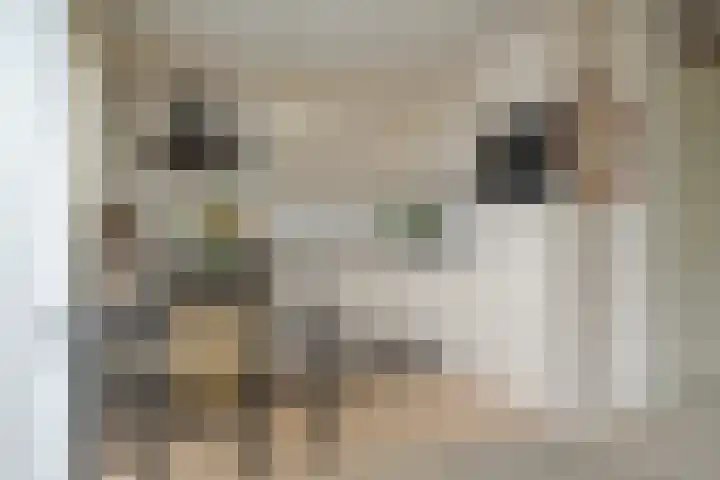 Jasmijnlaan 12 Roden thumbnail 23