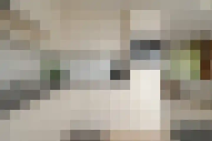 Jasmijnlaan 12 Roden thumbnail 25