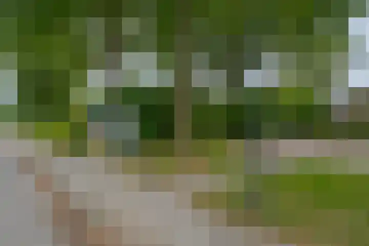 Jasmijnlaan 12 Roden thumbnail 4
