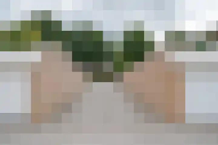 Jasmijnlaan 12 Roden thumbnail 46
