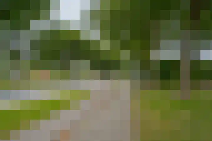 Jasmijnlaan 12 Roden thumbnail 5