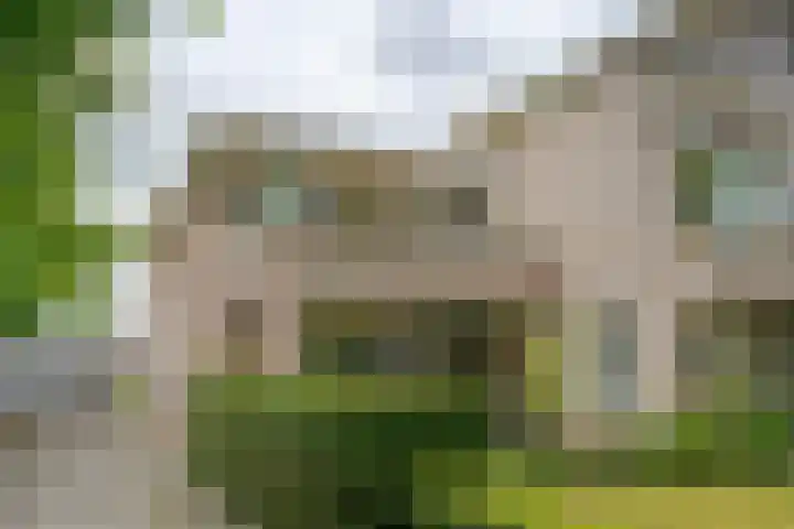 Jasmijnlaan 12 Roden thumbnail 6
