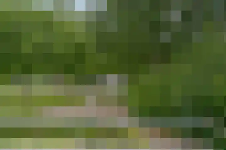 Jasmijnlaan 12 Roden thumbnail 7