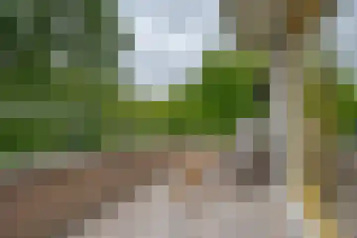 Jasmijnlaan 12 Roden thumbnail 8