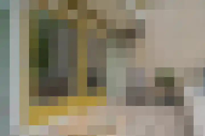 Jasmijnlaan 12 Roden thumbnail 9
