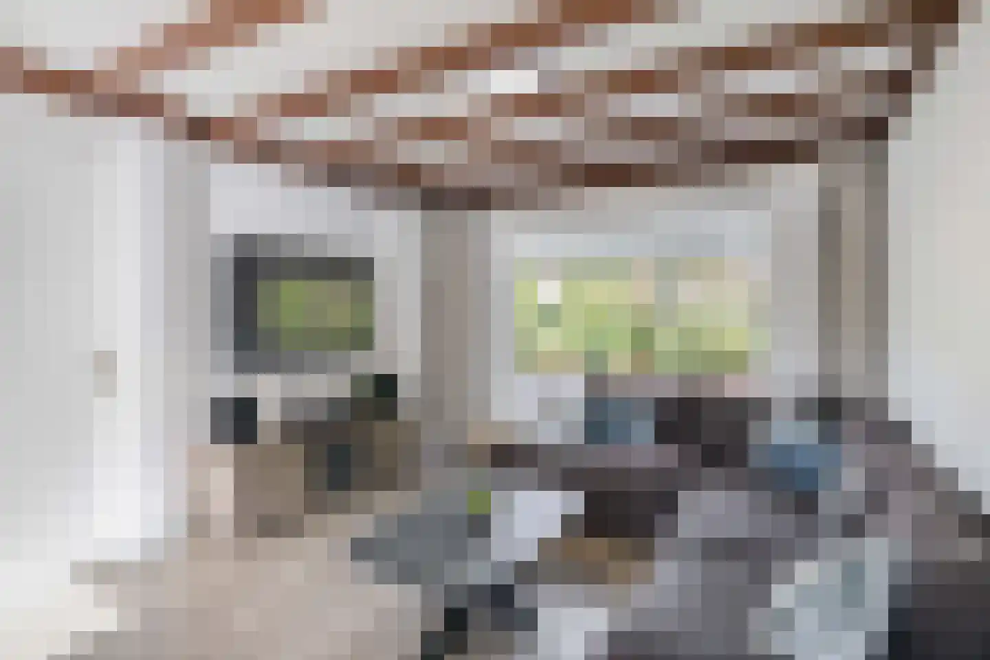 Jasmijnlaan 14 Oudenbosch thumbnail 10