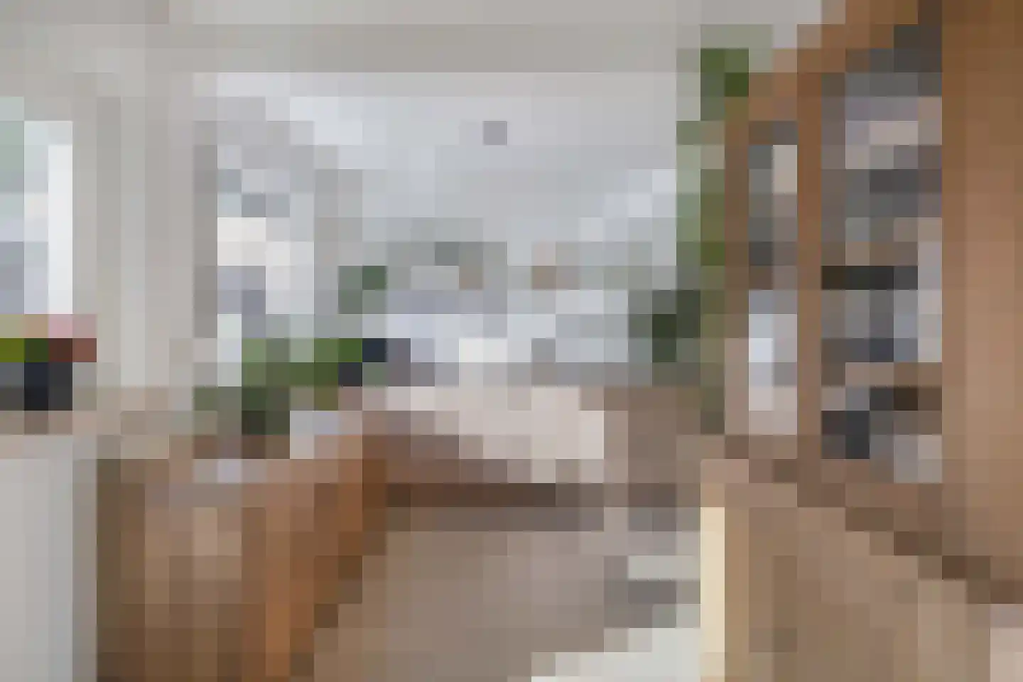 Jasmijnlaan 14 Oudenbosch thumbnail 16