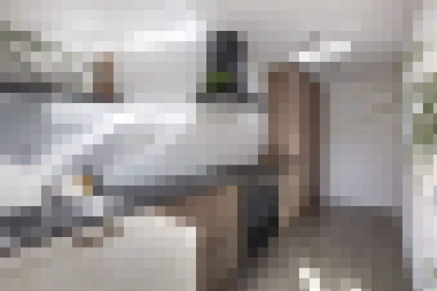 Jasmijnlaan 14 Oudenbosch thumbnail 17