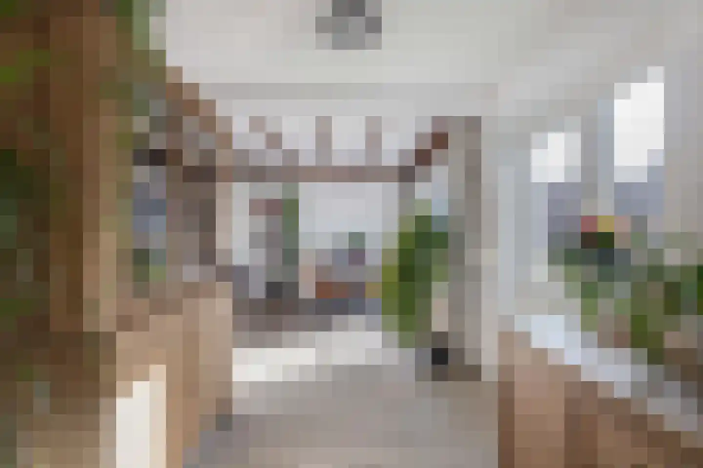 Jasmijnlaan 14 Oudenbosch thumbnail 21