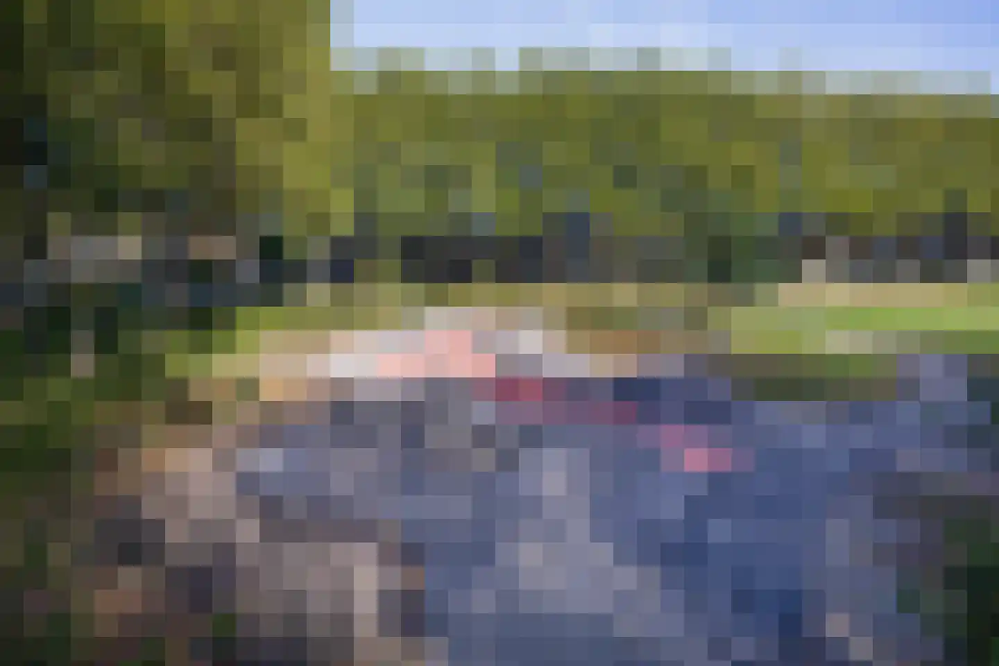 Jasmijnlaan 14 Oudenbosch thumbnail 33