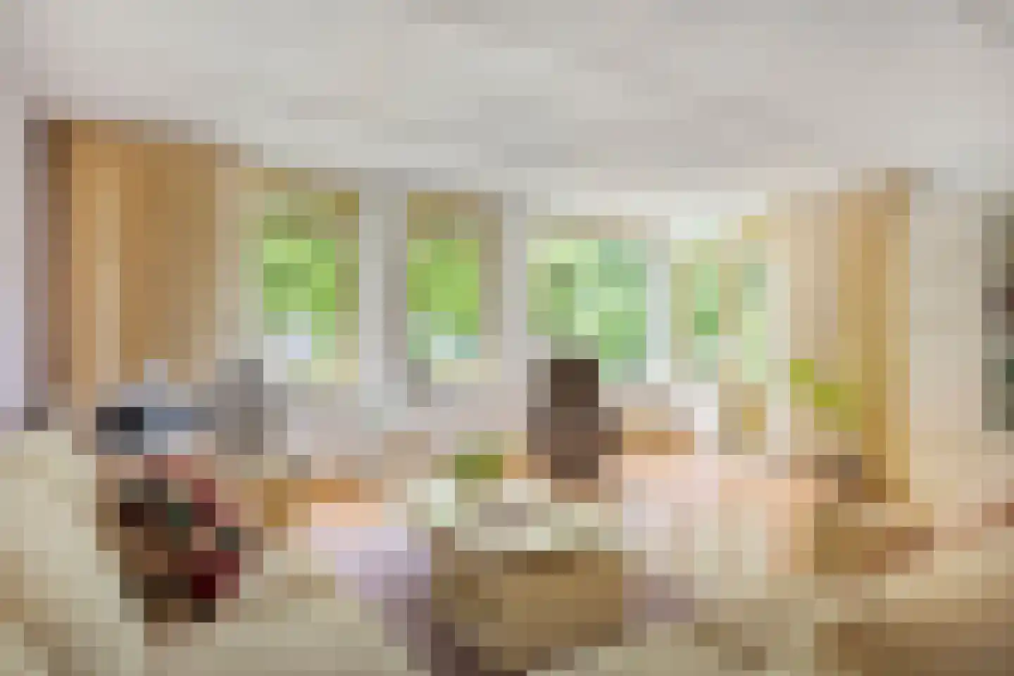 Jasmijnlaan 14 Roden thumbnail 19