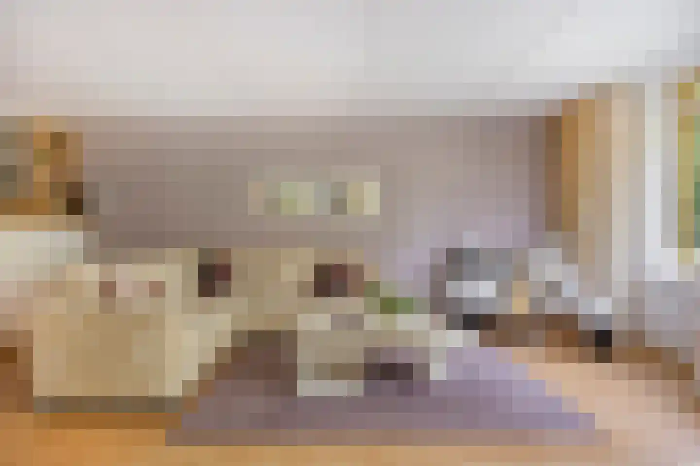 Jasmijnlaan 14 Roden thumbnail 22