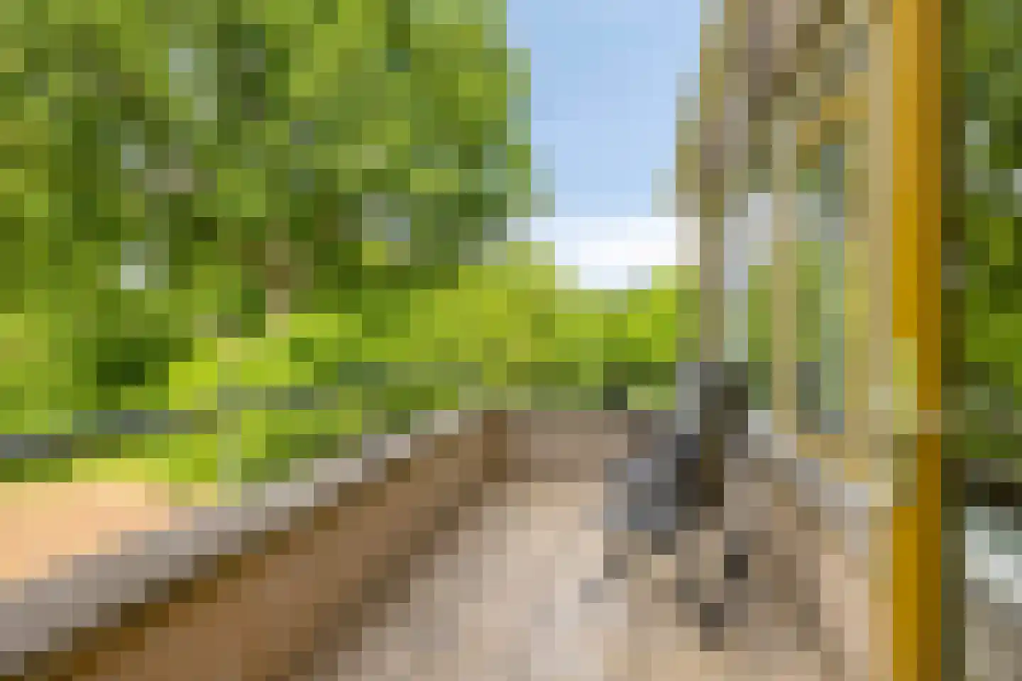 Jasmijnlaan 14 Roden thumbnail 24