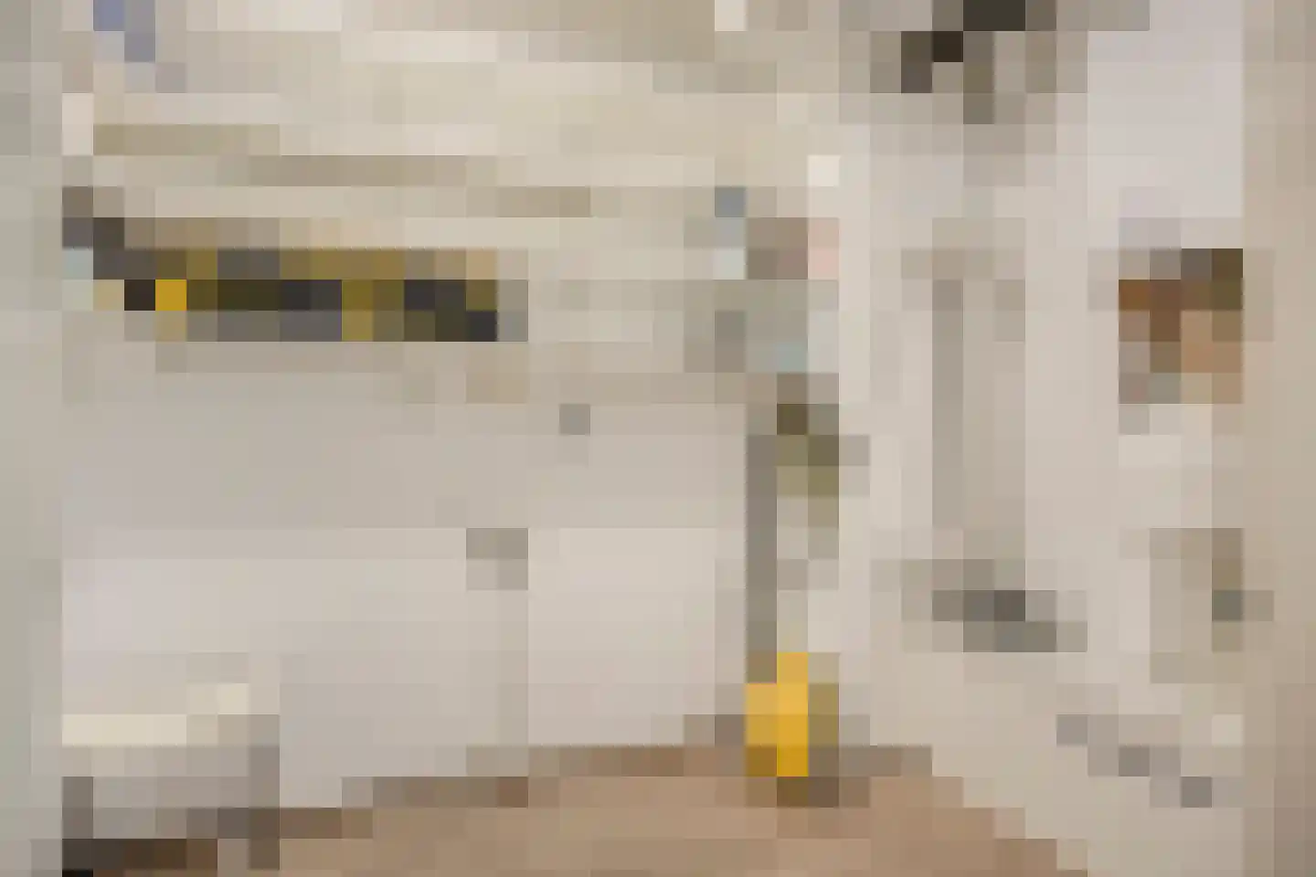Jasmijnlaan 14 Roden thumbnail 33