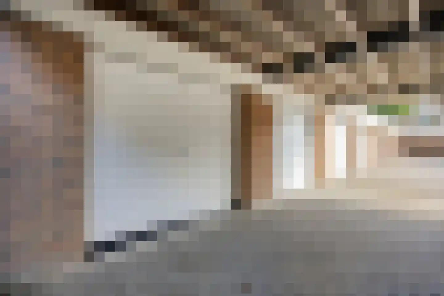 Jasmijnlaan 14 Roden thumbnail 4