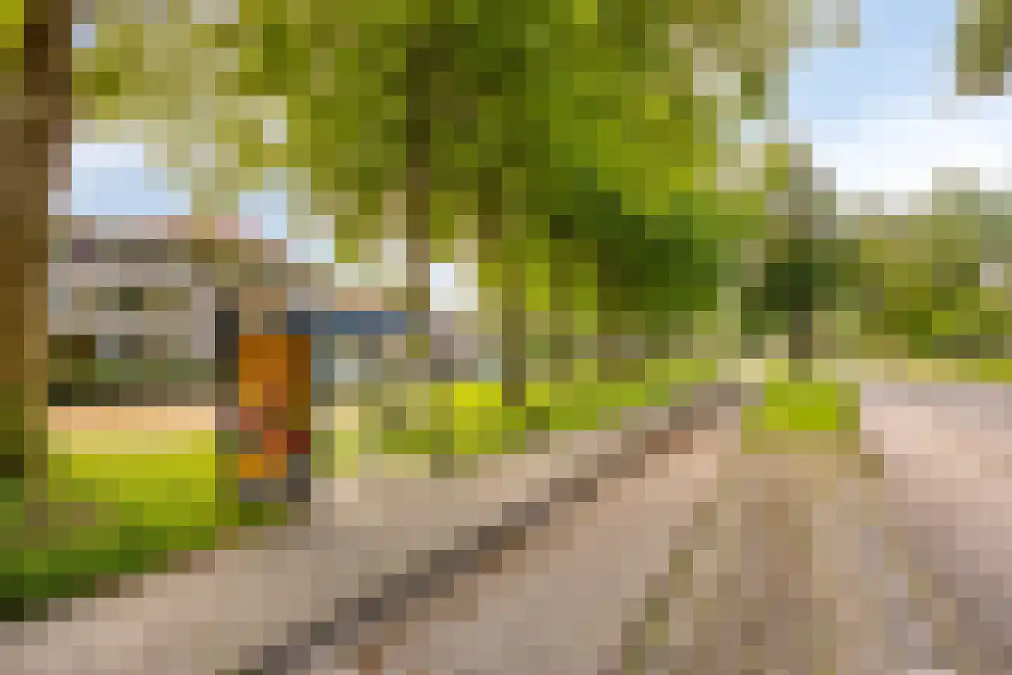 Jasmijnlaan 14 Roden thumbnail 6