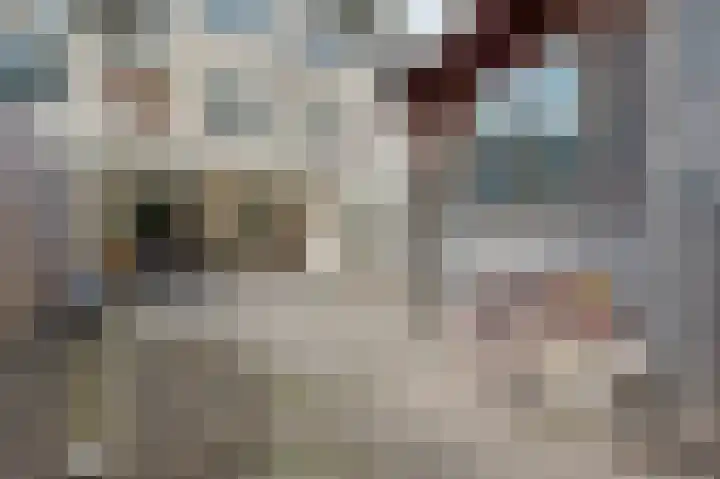 Jasmijnlaan 163 Winterswijk thumbnail 37