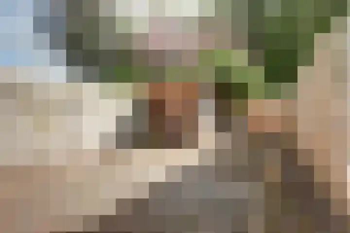 Jasmijnlaan 163 Winterswijk thumbnail 5