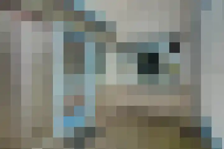 Jasmijnlaan 163 Winterswijk thumbnail 8
