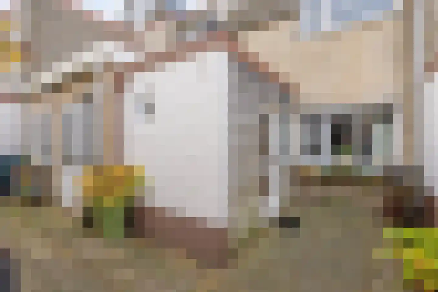 Jasmijnlaan 181 Winterswijk thumbnail 4
