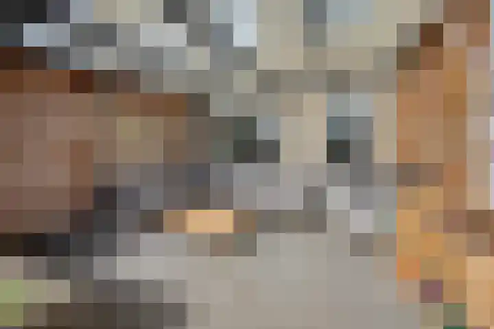 Jasmijnlaan 183 Winterswijk thumbnail 4