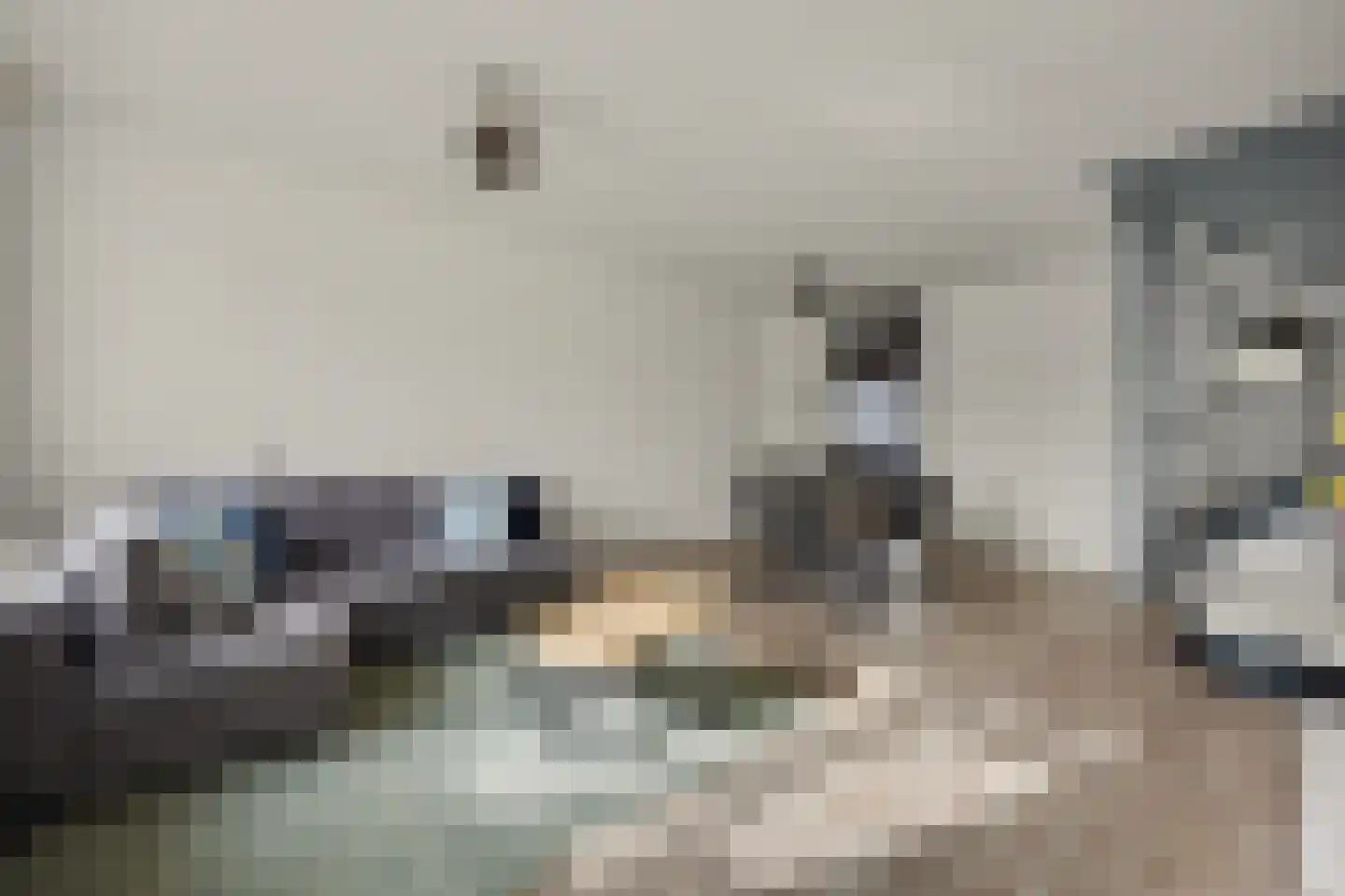 Jasmijnlaan 183 Winterswijk thumbnail 9